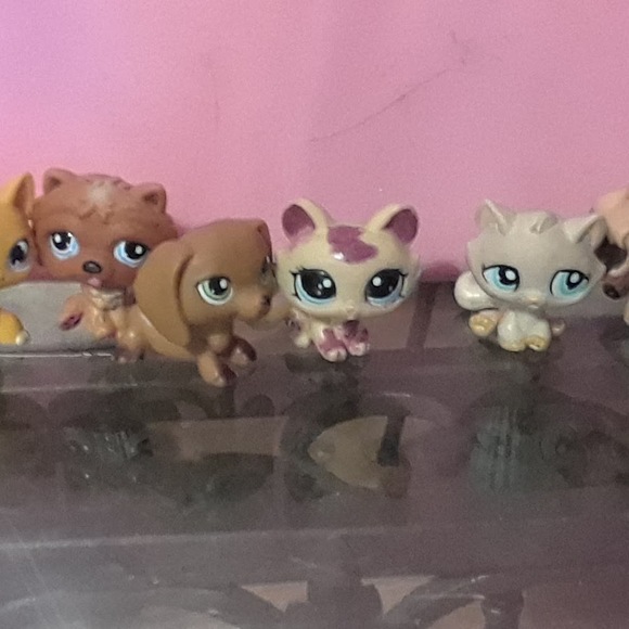 Meet your Posher, Lps lover823 - Picture 1 of 1